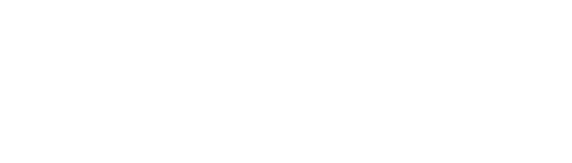 elmshorn.online | Sicher Dir Deinen Internetauftritt mit einer individuellen Elmshorn-Domain
